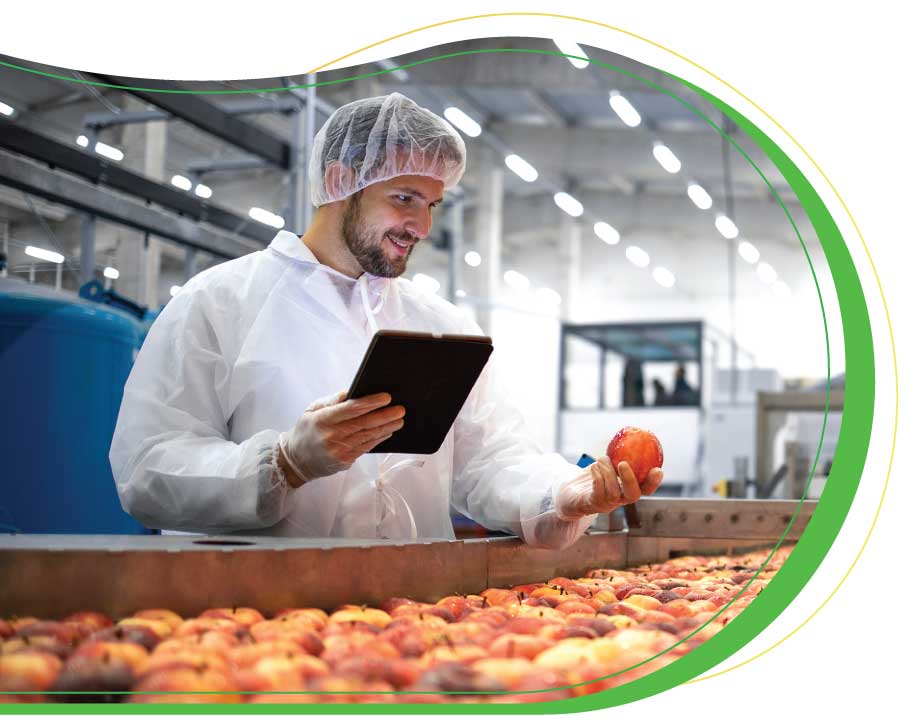 Linha Tesouraria PDR2020