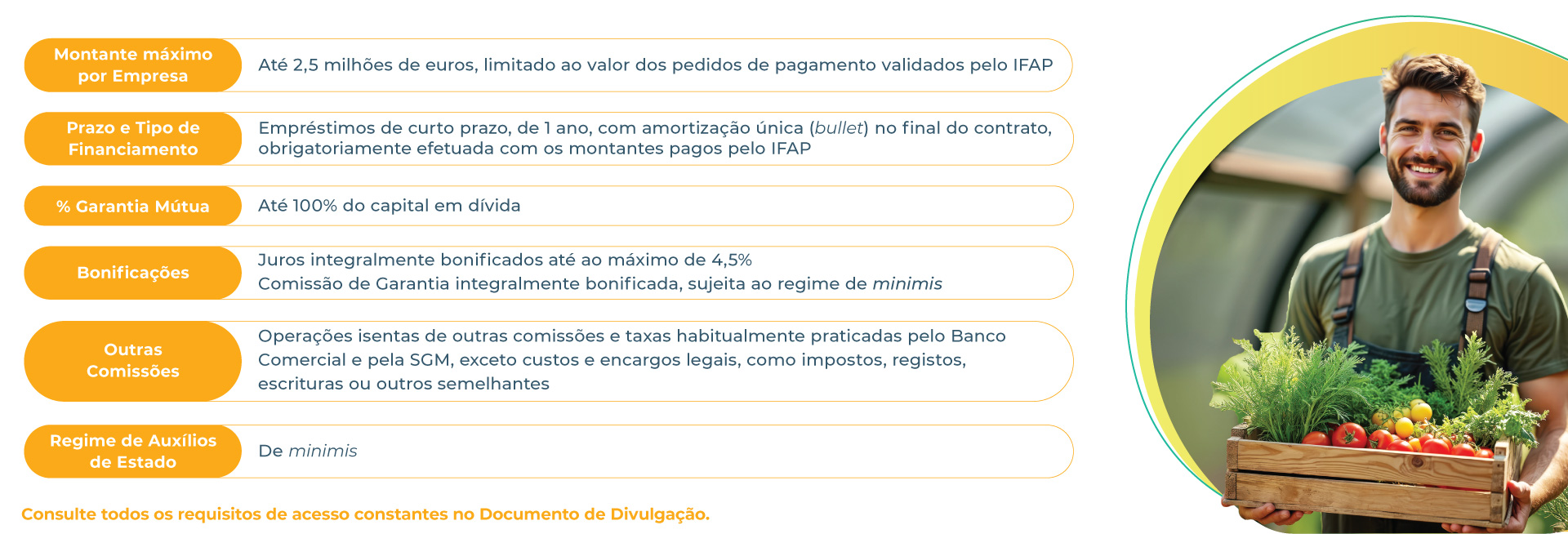 Montantes, Prazos e Garantia