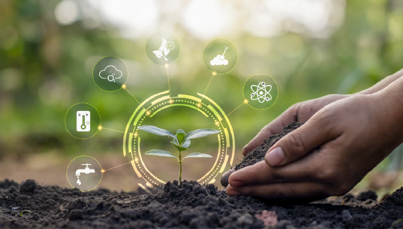 Agricultura portuguesa enfrenta o desafio da sustentabilidade