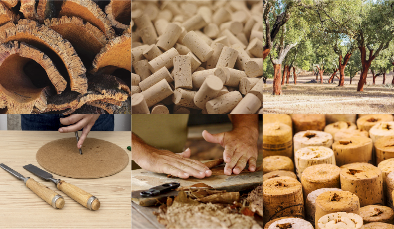 Divulga&ccedil;&atilde;o Setorial &ndash; Corti&ccedil;a