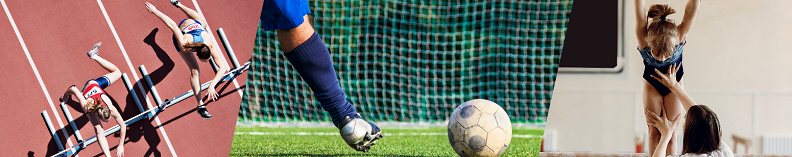 Linha de Apoio &agrave; Economia COVID-19: Federa&ccedil;&otilde;es Desportivas